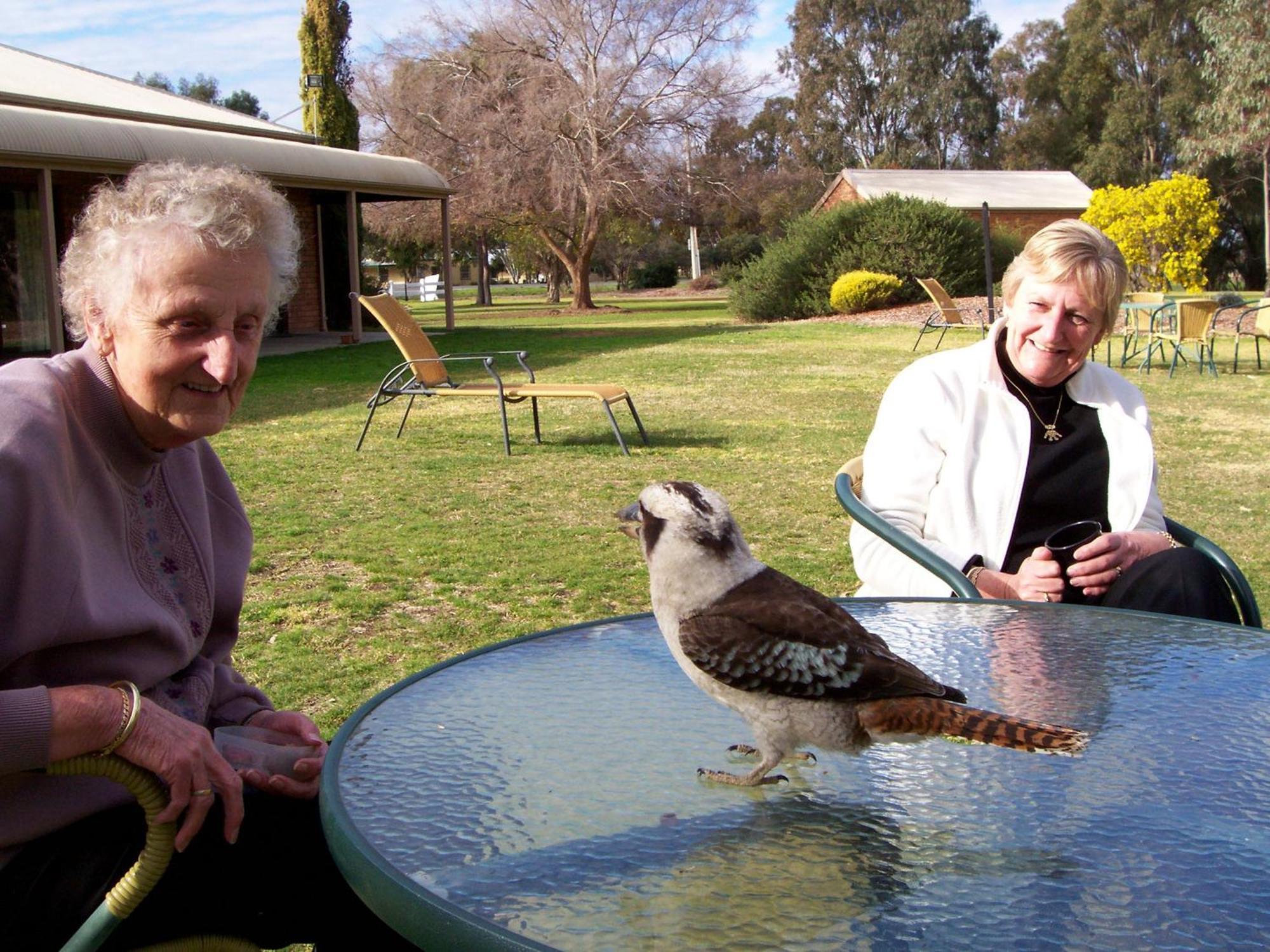 Cadell On The Murray Motel Moama Eksteriør bilde